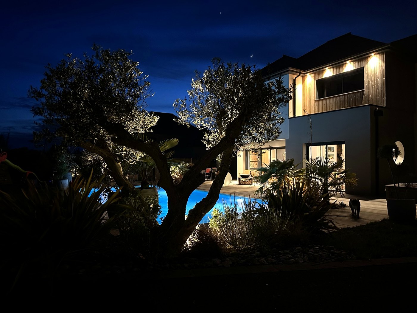 Jardin et oliviers éclairés de nuit